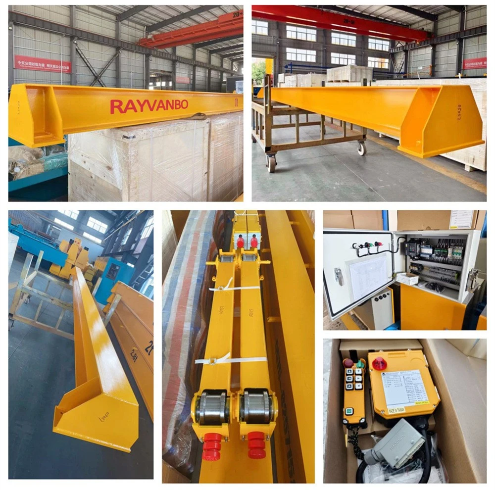 Bridge crane-rayvanbo9